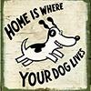 Home is Where Your Dog Lives
